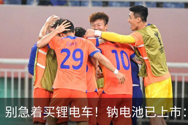 别急着买锂电车！钠电池已上市：5年质保，同容量还便宜大几百
