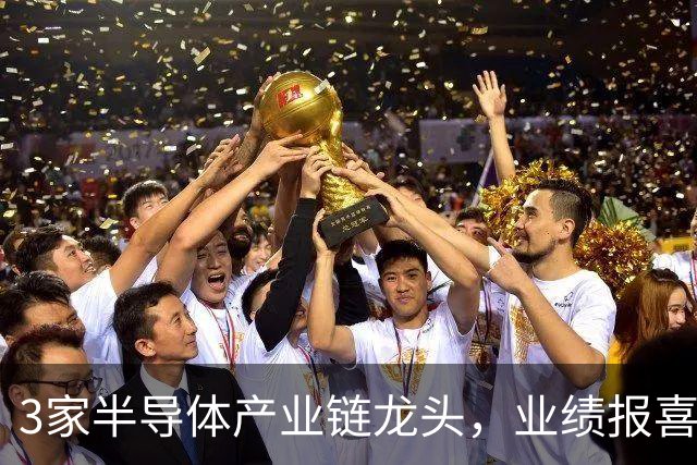 3家半导体产业链龙头，业绩报喜！